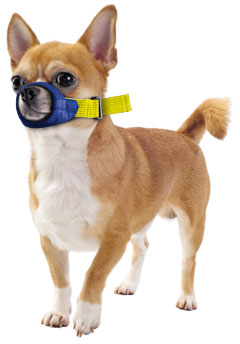 Color-coded Quick Muzzle?, XXS