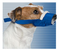The Cozy Quick Muzzle®