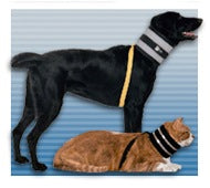 Bite Not Collar®