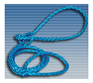 Rope Slip Leash