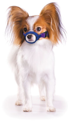 Color-coded Quick Muzzle? for Dogs, XS