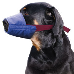 Color-coded Quick Muzzle? for Dogs, XXL