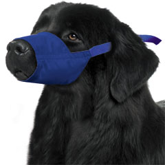 Quick Muzzle? for Dogs, XXXL, Blue