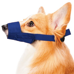 Quick Muzzle for Dogs, Medium, Blue