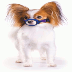 Original Quick Muzzle®-Bulk Packaging